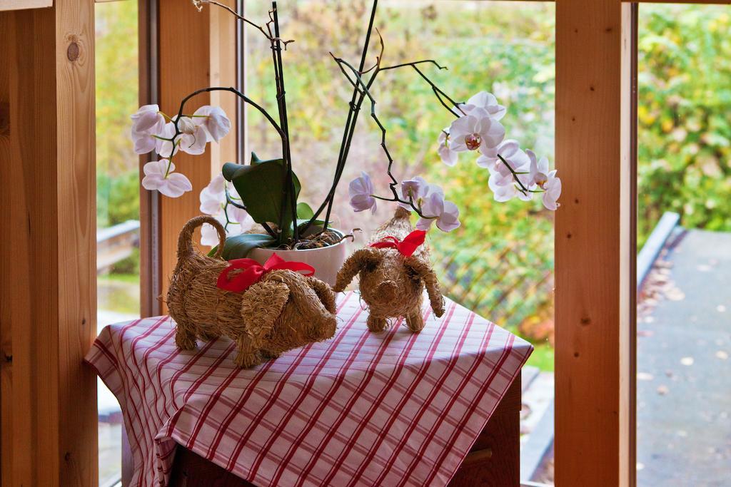 Ferienwohnungen Ehammer Stumm Extérieur photo